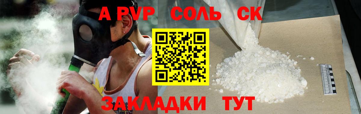 Альфа ПВП СК Архангельск