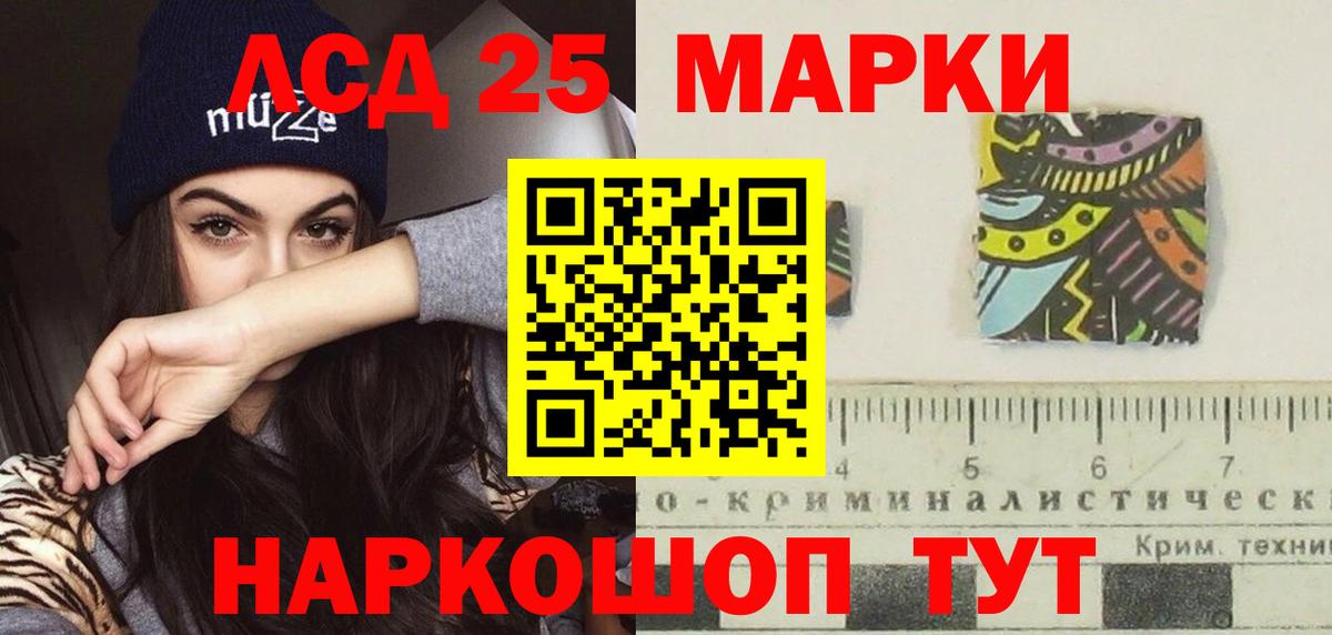 A-PVP Архангельск