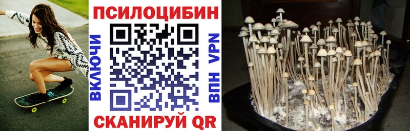 мега ONION сколько стоит Архангельск Псилоцибиновые грибы Cubensis