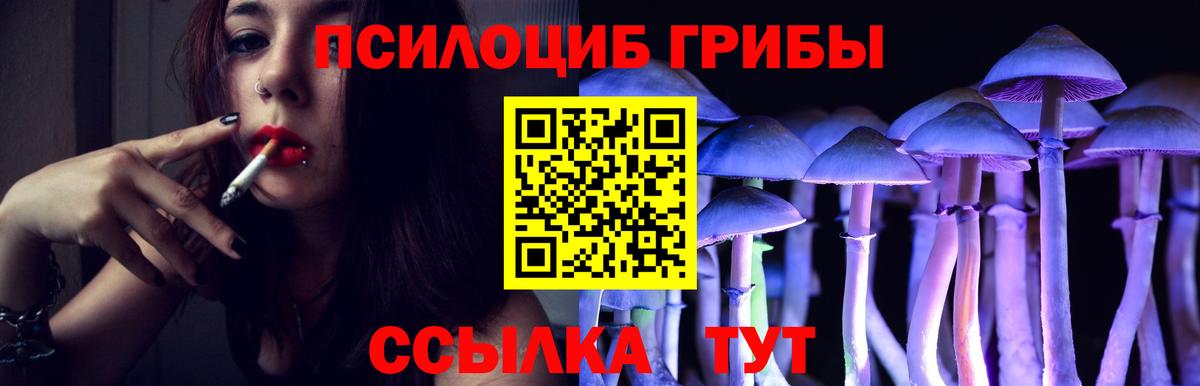 Галлюциногенные грибы Psilocybine cubensis Архангельск
